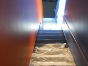 DSCN5776