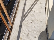 IMG-20211109-WA0000